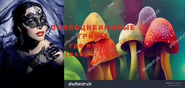 дживик Лабытнанги