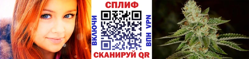 Конопля OG Kush  Старый Крым 